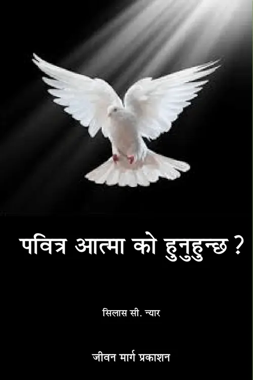 Who is Hopy Spirit_Book Cover.png