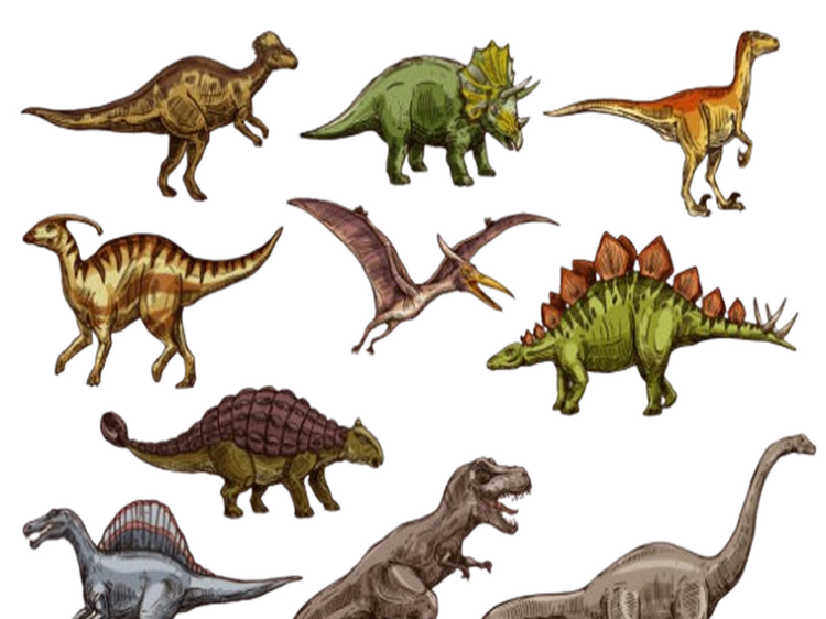 dinosaur-removebg-preview.png dinosaur-removebg-preview.png